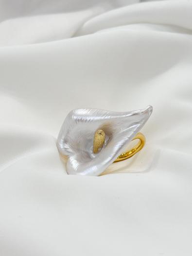 Кольцо MG-SS25-AC1737