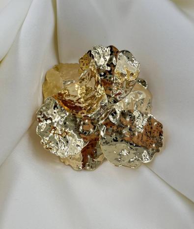 Кольцо MG-FW25-AC1667